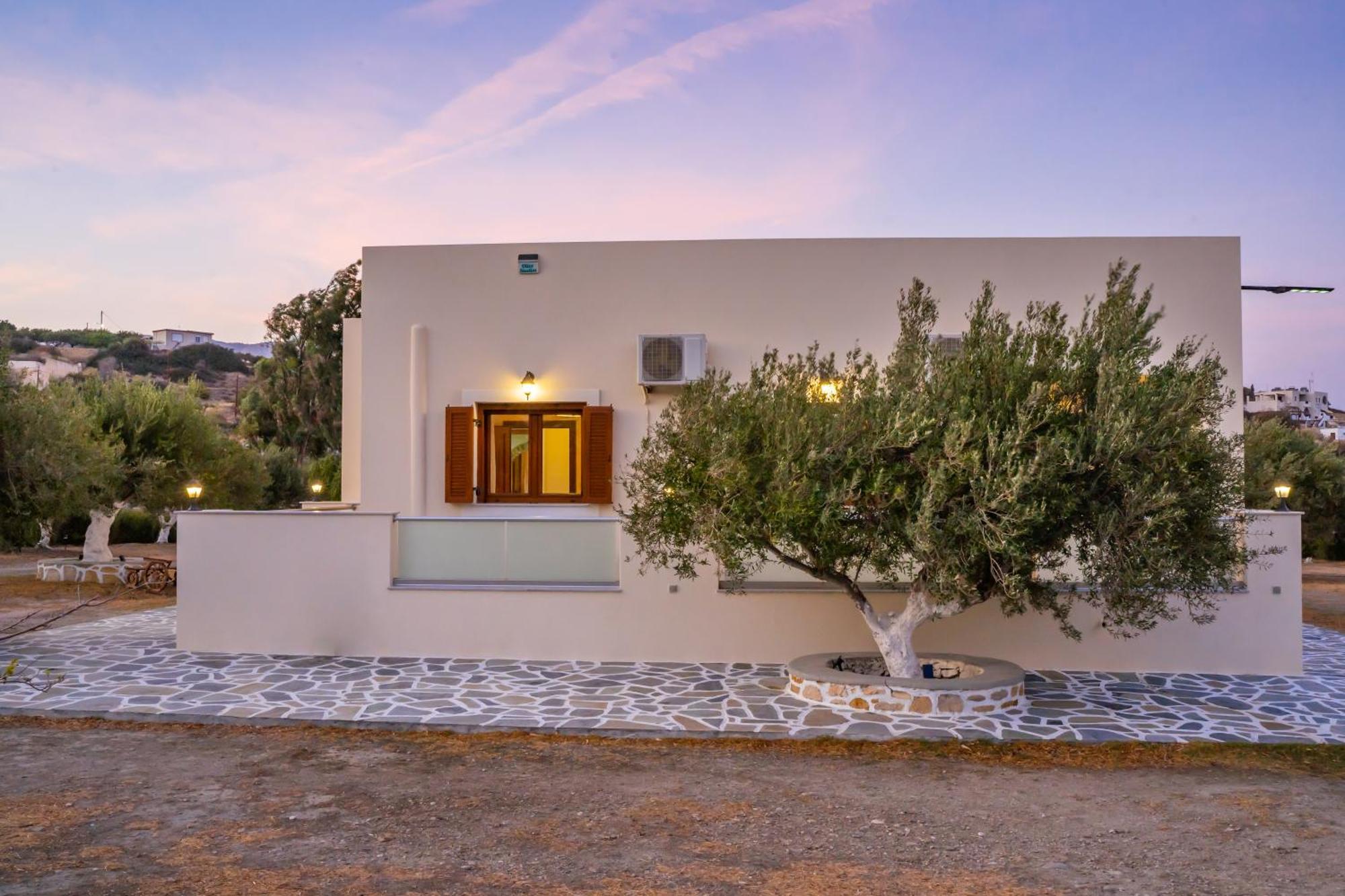 Olive Studios Karpathos Studio #4 Exterior photo
